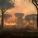 Una persona trovata morta in un incendio in Francia vicino a Saint Tropez