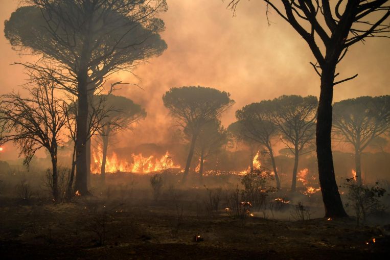 Una persona trovata morta in un incendio in Francia vicino a Saint Tropez