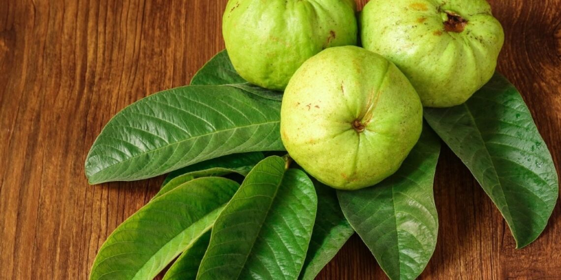 Abbandona i prodotti a base chimica e adotta questo siero per capelli alle foglie di guava fai-da-te