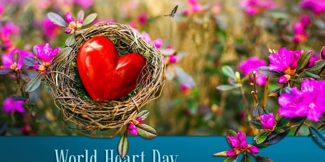 Giornata mondiale del cuore 2021: scopri tutto su data, storia, significato e tema