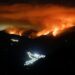 I devastanti incendi boschivi hanno portato a registrare emissioni quest'estate
