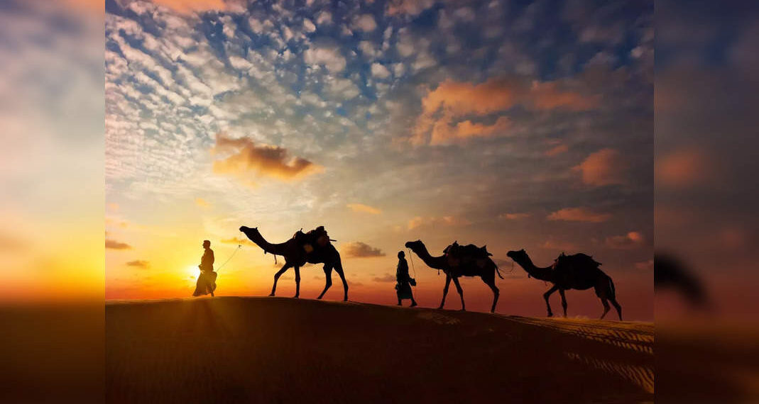 Il Rajasthan è pronto a presentare un'app mobile per i turisti in occasione della Giornata mondiale del turismo