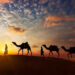 Il Rajasthan è pronto a presentare un'app mobile per i turisti in occasione della Giornata mondiale del turismo