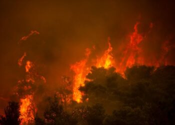 Il primo ministro greco licenzia il ministro dell'ordine pubblico dopo gli incendi boschivi