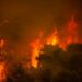 Il primo ministro greco licenzia il ministro dell'ordine pubblico dopo gli incendi boschivi