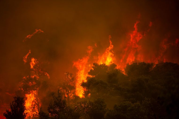 Il primo ministro greco licenzia il ministro dell'ordine pubblico dopo gli incendi boschivi