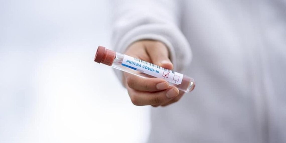 Il sistema immunitario ha un piano di riserva per abbassare gli anticorpi, afferma lo studio