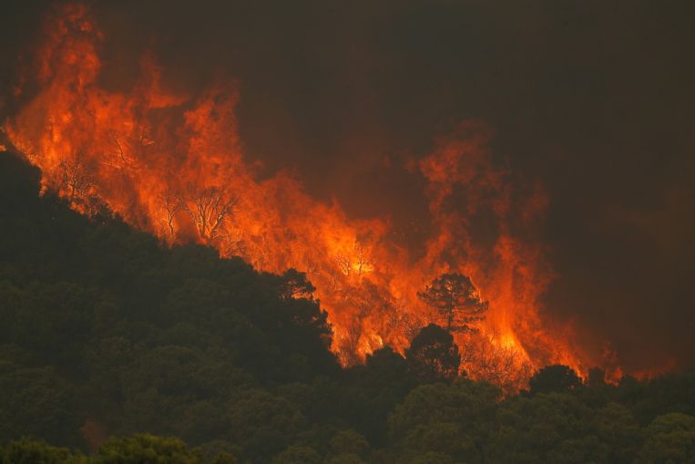 Incendio in Spagna costringe alla fuga più di 900, muore un vigile del fuoco