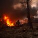 La Grecia affronta le critiche un anno dopo gli incendi dei campi di migranti