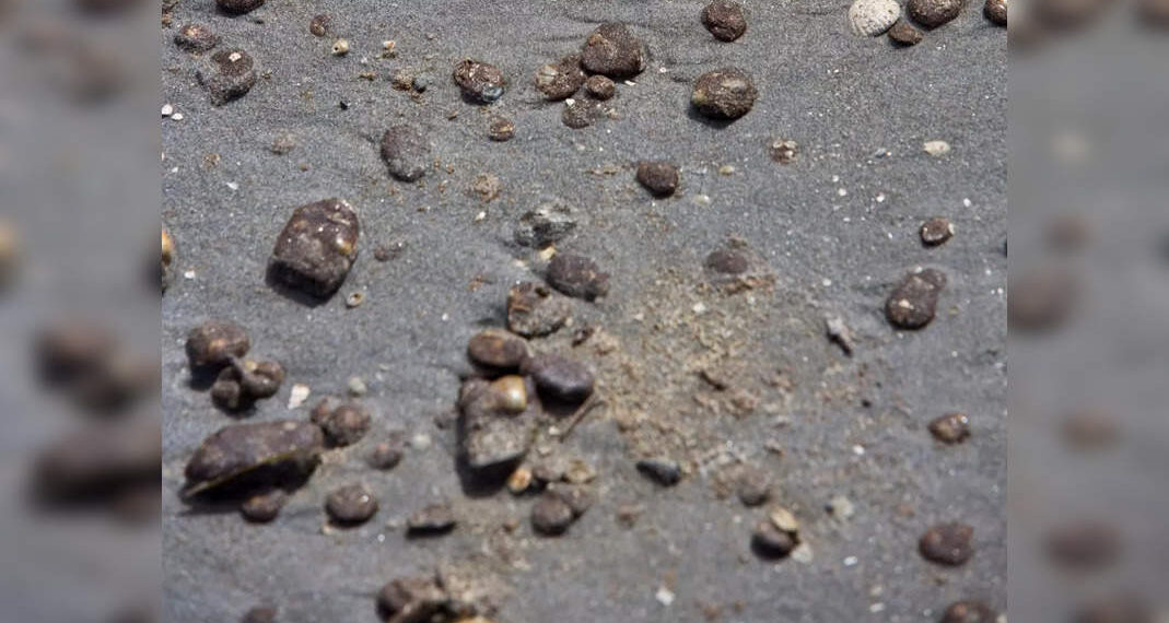 Le spiagge di Goa sono di nuovo inondate di tarball