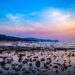 Mumbai: spiagge e giardini rimarranno aperti dalle 6:00 alle 22:00