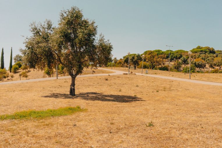 Giornata mondiale delle notizie: il giallo è il nuovo verde in Portogallo