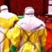 I funzionari dell'OMS hanno partecipato ad abusi sessuali in Congo durante la crisi dell'Ebola, afferma il rapporto