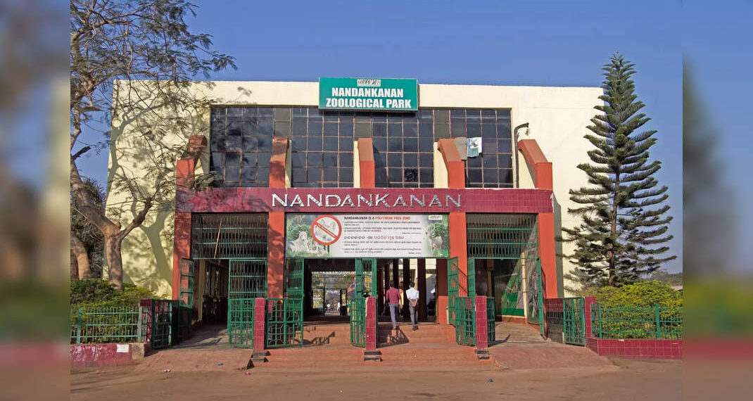 Il Nandankanan Zoological Park riceve un trenino ecologico