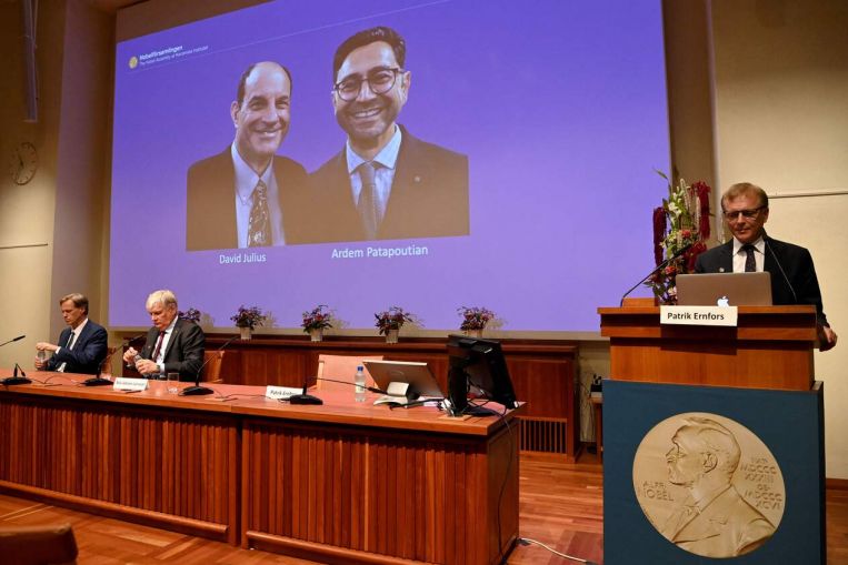 Il duo americano David Julius e Ardem Patapoutian vincono il Premio Nobel per la Medicina