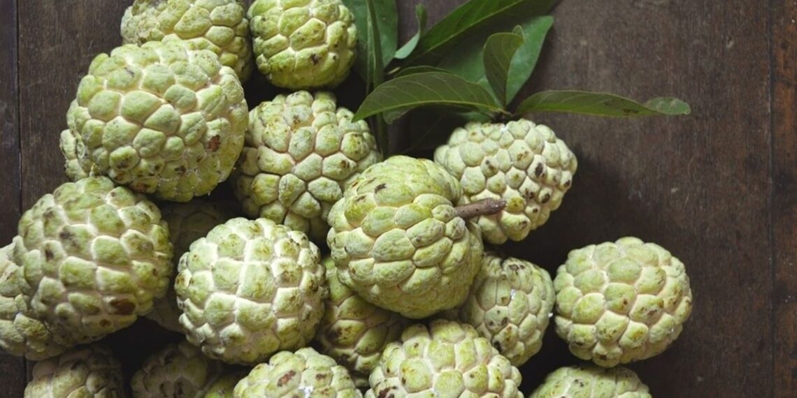 Mangia pigna o sitaphal per ridurre il rischio di diabete e pressione sanguigna |  Salute