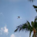 Voli charter internazionali atterreranno presto a Goa