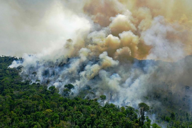COP26: il Brasile alza l'obiettivo climatico per ridurre le emissioni del 50% entro il 2030