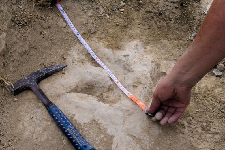 Le impronte in Spagna mostrano che i dinosauri carnivori erano veloci e furiosi