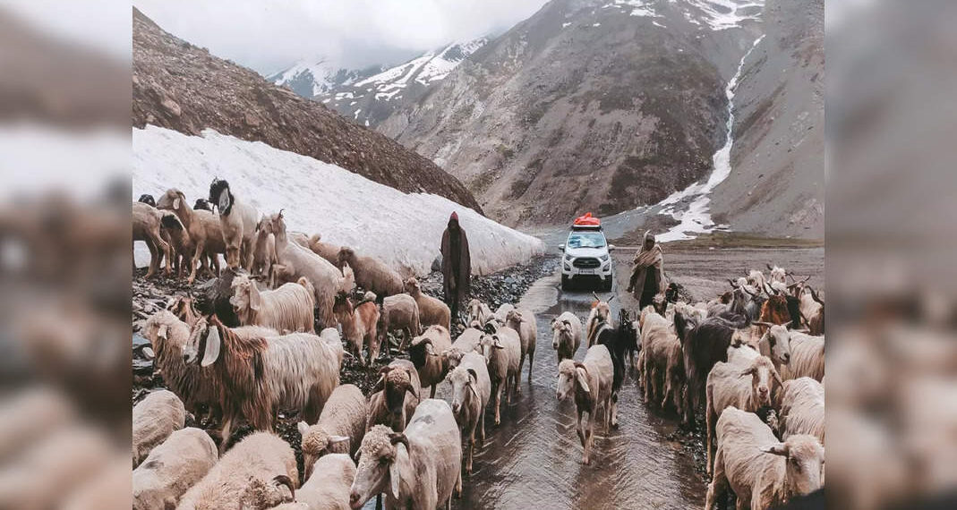 Nevicata a Himachal: i turisti non sono ammessi oltre il tunnel Atal a Lahaul