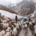 Nevicata a Himachal: i turisti non sono ammessi oltre il tunnel Atal a Lahaul