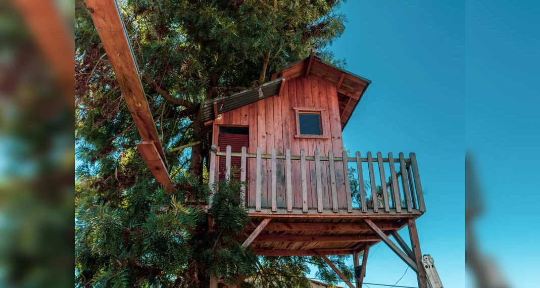 Presto potrai soggiornare in una casa sull'albero nelle foreste di Uttarakhand