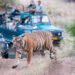 Il Gujarat avrà presto il suo primo parco safari della tigre a Dang