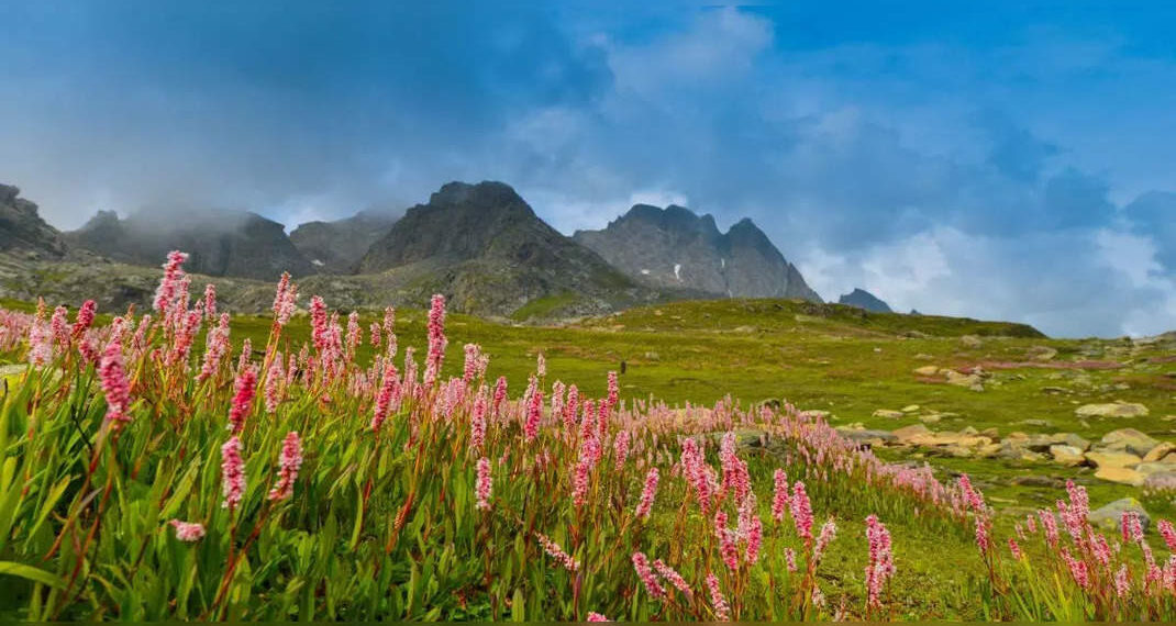 Uttarakhand: Valle dei Fiori chiusa ai visitatori a causa di frane