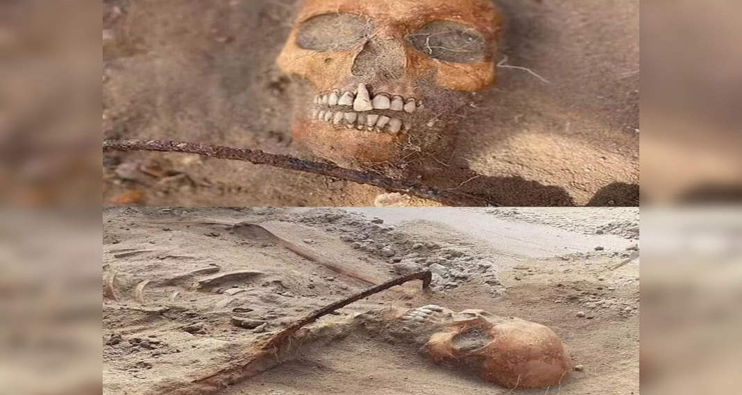 Falce e resti scheletrici sepolti di una "vampira" femminile scoperti in Polonia durante uno scavo archeologico