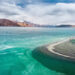 Prima in India, Pangong Frozen Lake Marathon a febbraio. Sei pronto per questo?