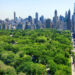Ora sarai in grado di interagire con oltre 1 milione di alberi quando sei a New York City!