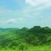 Nuovo tipo di plateau con 76 specie di piante scoperte nei Ghati occidentali!