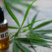 CBD e sport: è legale? Quali sono i benefici