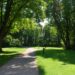 Bengaluru è pronta per ottenere un secondo Cubbon Park