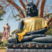 Questo Buddha Purnima, celebra il Buddha Mahotsav a Sarnath