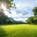 Il primo parco a tema vedico del paese sarà costruito a Noida