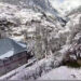 Avviso di viaggio: fino a 14 strade chiuse nell'Himachal Pradesh dopo abbondanti nevicate