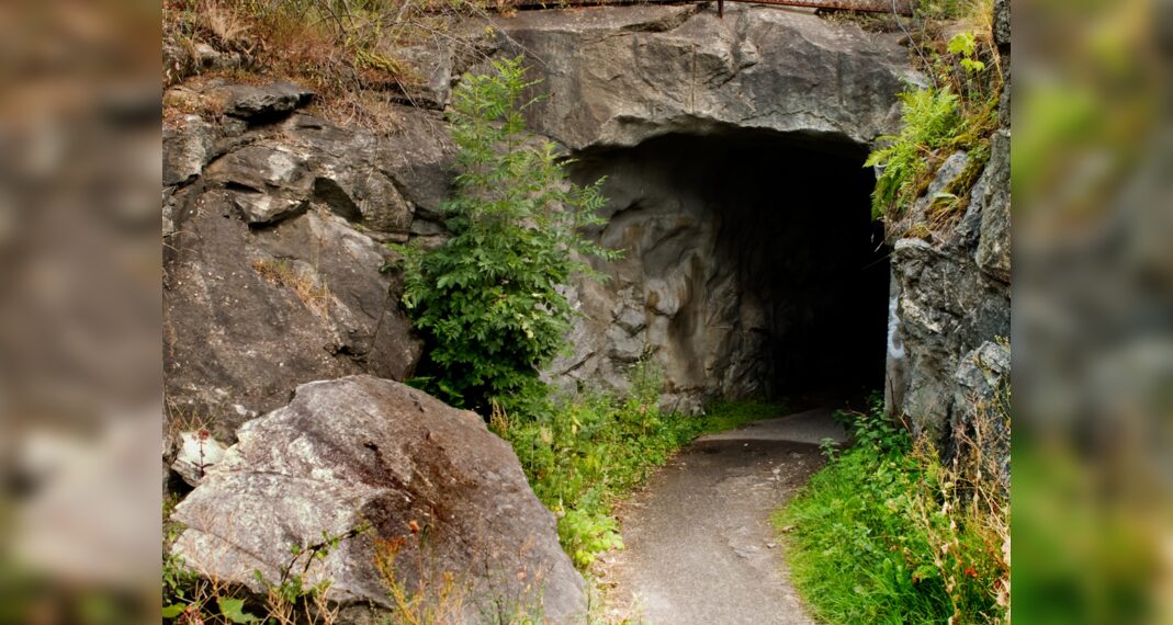 Delhi: un tunnel segreto del XIII secolo scoperto a Siri Fort