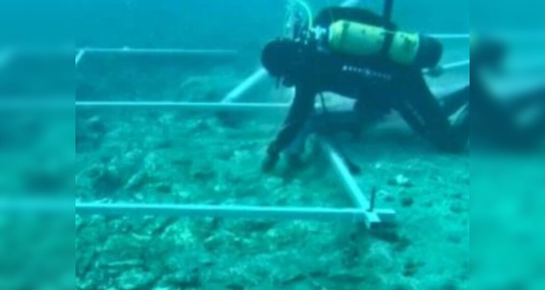 Gli archeologi scoprono una strada di 7000 anni sul fondo del Mar Mediterraneo!