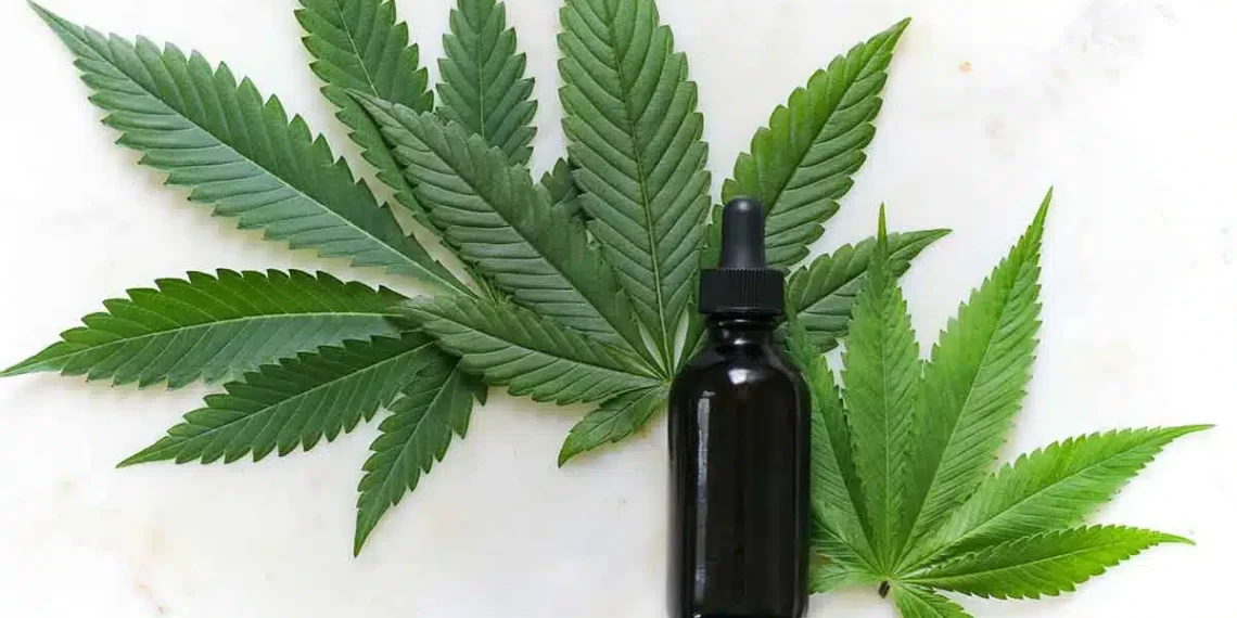 Cucinare con la cannabis: le ricette più gustose
