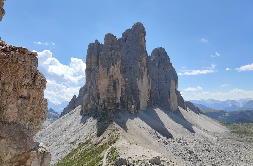 Guida Completa: Capire il Prezzo di un Cammello nel 2022
