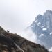 Guida Completa: Come Determinare il Prezzo di una Mucca nel 2022