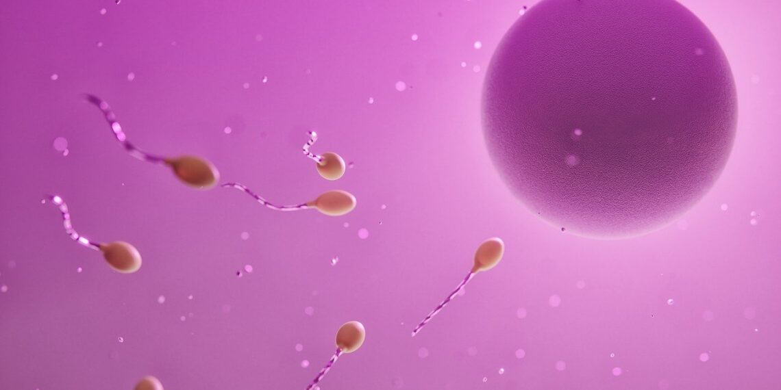 Fecondazione in Vitro con Ovociti di Donatrici: Una Speranza per Molte Coppie