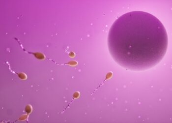 Fecondazione in Vitro con Ovociti di Donatrici: Una Speranza per Molte Coppie