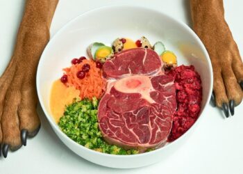 Dieta BARF per cani, l’ultima tendenza nel campo nutrizionale