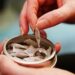 Navigare nel mondo del tabacco da masticare aromatizzato: Una guida chiara
