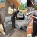 Disinfestazione Blatte nei condomini