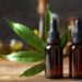 CBD, salute e alimentazione: cosa dice la ricerca scientifica e quali domande restano aperte